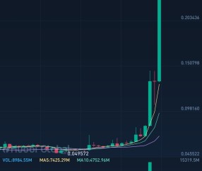 狗狗币冲破499美元大关，牛市是否已来临？-九游体育