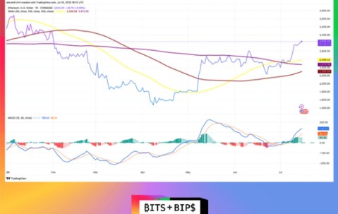 以太坊创下年内新高，上扬幅高达186%，还能追吗？-九游体育官网